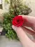 Rosa Mini - Preservada