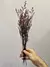 Limonium - Preservado - Eterna Flora | Flores Preservadas