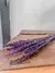 Lavanda Francesa - Preservada