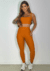 Conjunto Calça