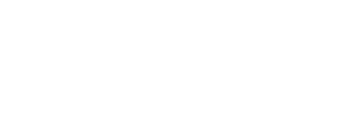 Magnos Steel