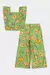 Conjunto Floresta na internet