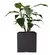 MACETA CUBO N40 - tienda online