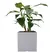 MACETA CUBO N40 - copperhouse