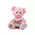 Chancho con corazón - comprar online