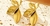 Banner rotativo 7