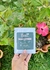 Drip Coffee | ei café? | Individual - loja online