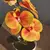 Linda Orquídea Phalaenopsis Borboleta Artificial, Perfeita Para Decorar Mesas e Ambientes - comprar online