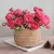 Botões de Rosas Artificiais em Cores Variadas e Mini Botões - comprar online