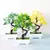 Planta Bonsai Artificial em Delicado Vaso Para Decorar Seu Jardim - loja online
