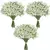 Gipsófila Artificial, Combinação Perfeita com Outras Flores e As Mais Diversas Decorações - Flor Sempre