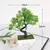 Planta Bonsai Artificial em Delicado Vaso Para Decorar Seu Jardim