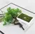 Planta Bonsai Artificial em Delicado Vaso Para Decorar Seu Jardim na internet