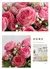 Botões de Rosas Artificiais em Cores Variadas e Mini Botões na internet