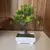 Imagem do Planta Bonsai Artificial em Delicado Vaso Para Decorar Seu Jardim