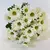 Imagem do Mini Margarida Para Decoração De Casamento e o Ambiente de Sua Casa