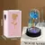 Lindas Rosas, Diversas Cores Iluminadas por Luz de Led, - loja online