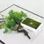 Planta Bonsai Artificial em Delicado Vaso Para Decorar Seu Jardim - loja online