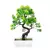 Planta Bonsai Artificial em Delicado Vaso Para Decorar Seu Jardim - Flor Sempre