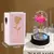 Lindas Rosas, Diversas Cores Iluminadas por Luz de Led,