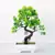 Imagem do Planta Bonsai Artificial em Delicado Vaso Para Decorar Seu Jardim