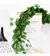 Planta Verde De Parede, Ideal Para Deixar Suspensa em Ambientes - comprar online