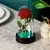 Lindas Rosas, Diversas Cores Iluminadas por Luz de Led, - Flor Sempre