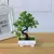 Planta Bonsai Artificial em Delicado Vaso Para Decorar Seu Jardim - comprar online