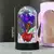 Lindas Rosas, Diversas Cores Iluminadas por Luz de Led,
