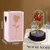 Lindas Rosas, Diversas Cores Iluminadas por Luz de Led,