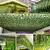 Planta Verde De Parede, Ideal Para Deixar Suspensa em Ambientes na internet