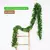 Planta Verde De Parede, Ideal Para Deixar Suspensa em Ambientes na internet