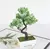 Planta Bonsai Artificial em Delicado Vaso Para Decorar Seu Jardim na internet