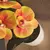 Linda Orquídea Phalaenopsis Borboleta Artificial, Perfeita Para Decorar Mesas e Ambientes - Flor Sempre
