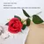Botões de Rosas Artificiais em Cores Variadas e Mini Botões