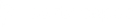 Porto Capas