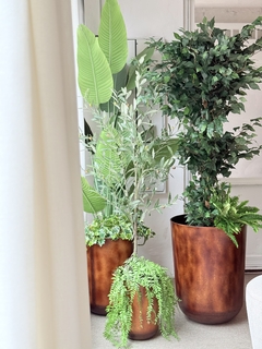 Ficus topiary AR61401 - Bonnin