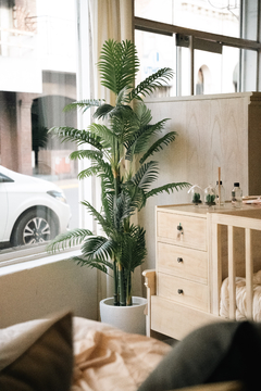 Palm tree AR81155