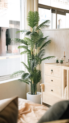 Palm tree AR81155 - comprar online