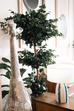 Ficus topiary AR61401 en internet