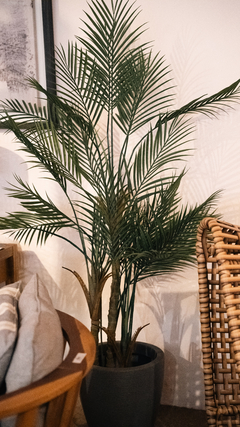 Palmera AR60025 - comprar online