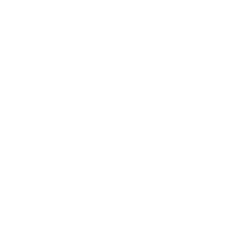 TD STORE