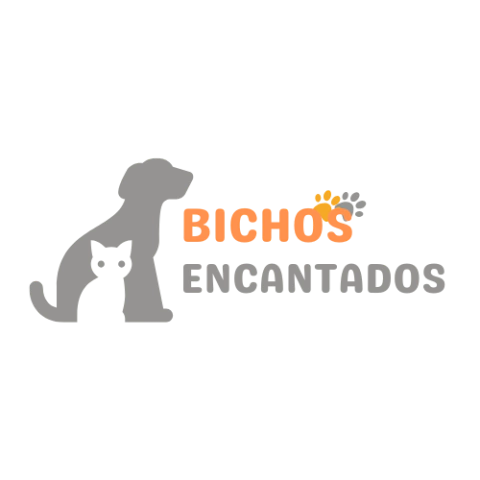 BichosEncantados