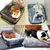 Cama para cachorro | Cama para cães e gatos | Cama grande para pets | Cama de pelúcia à prova d'água - loja online