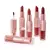 Lips matte/ 2 en 1