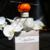 DECANT - PERFUME MONTBLANC SIGNATURE FEMININO EAU DE PARFUM FEMININO - loja online