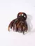 BROCHE CAREY X6 6134C1