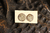 Brincos - comprar online
