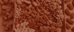 Banner da categoria OLEAGINOSAS