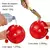 KIT AGILITY COM SALTO CIRCULAR - DegranPet - Equipamentos para Adestramento